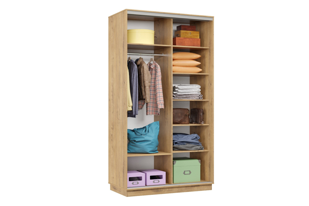 Шкафы-купе, Шкаф-купе Премьер Лайт 04 (08;11) двухдверный