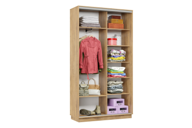 Шкаф-купе Премьер Лайт 03 (05;05) двухдверный