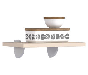 Регина РПО-30 Полка