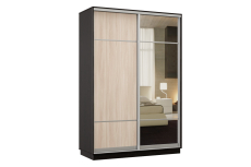 Шкафы-купе, Шкаф-купе Премьер Лайт 01 (08;11) двухдверный