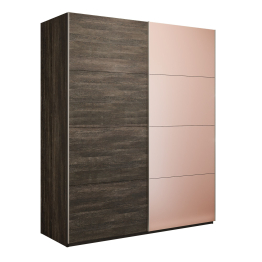 Шкаф-купе Эста 2-х дверный ДСП/Стекла пудра/Доводчик 160х66х240