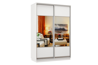 Шкаф-купе Премьер Лайт 04 (05;05) двухдверный