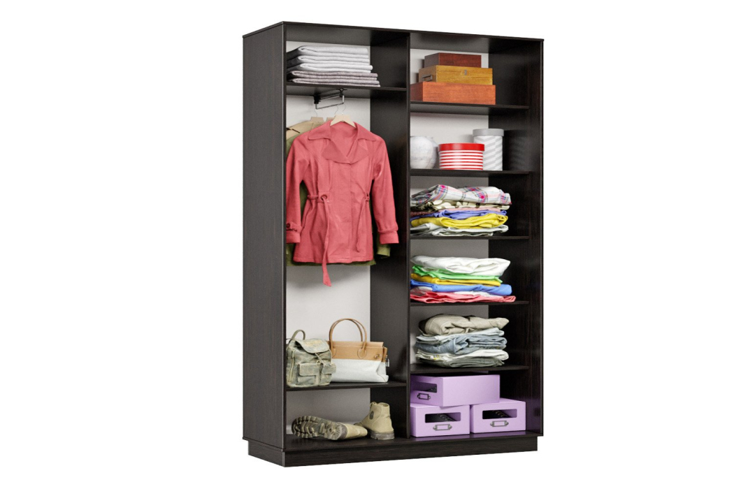 Шкафы-купе 2-х дверные, Шкаф-купе Премьер Лайт МИНИ 03 (04;04) двухдверный