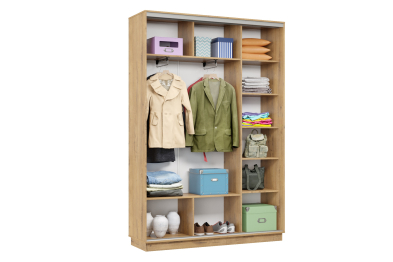 Шкаф-купе Премьер Лайт 11 (05;05) двухдверный