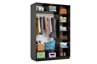 Шкаф-купе Премьер 10 Венге