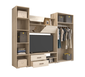 Гостиная Дакар (венге/дуб)