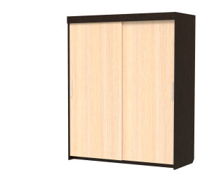 Шкаф-купе шк-19 двухдверный