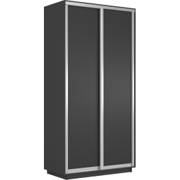Шкаф-купе Экспресс Хит 2х дверный ДСП 120х60х220
