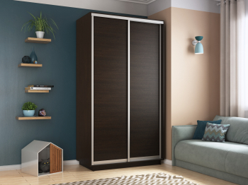 Шкаф-купе Экспресс Хит 2х дверный ДСП 120х60х220