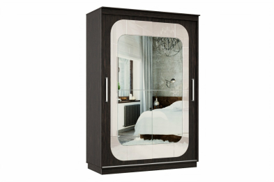 Шкаф-купе Премьер 10