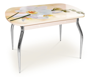 Стол Фиеста 1 Фотопечать СВ Опора Хром (1100/1415*742*700)