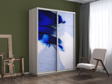 Шкафы-купе, Шкаф-купе Экспресс 1010, 160х45х240