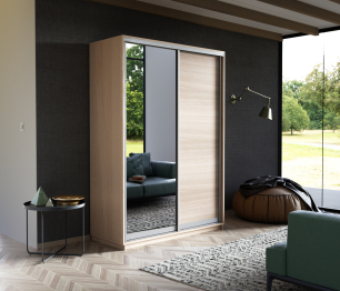 Шкаф-купе Экспресс Медиум дуо 2200 x 1200 х 600