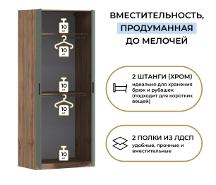 Шкаф двухдверный Макс 1000 мм, вариант №4 (ЛДСП, корпус дуб вотан)