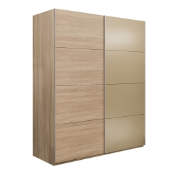 Шкаф-купе Эста 2-х дверный ДСП/Стекла фисташка/Доводчик 200х66х240