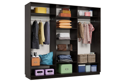 Шкаф-купе Премьер 56 Венге