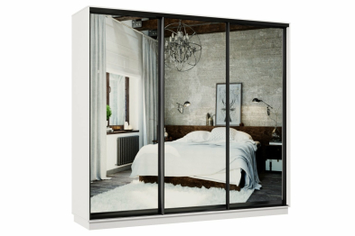 Шкаф-купе Премьер 56 Белый