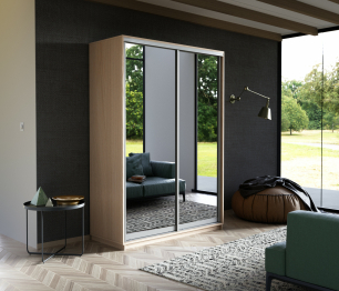 Шкаф-купе Экспресс Экспенс дуо 2200 x 1200 x 600