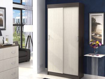 Шкаф-купе Евро