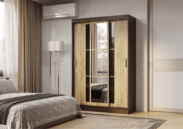 Шкаф-купе Денвер ШКК-03