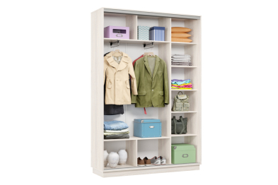 Шкаф-купе Премьер Лайт 09 (05;05) двухдверный