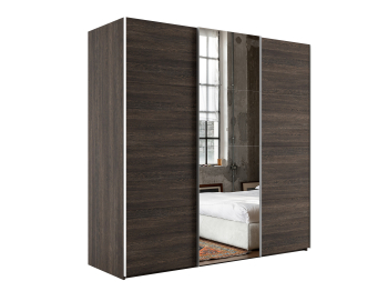 Шкаф-купе Эста ДСП+Зеркало+ДСП 270х66х240