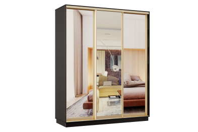 Шкаф-купе Премьер 25 венге