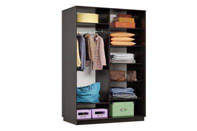 Шкаф-купе Премьер 04 венге