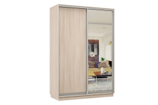 Шкафы-купе, Шкаф-купе Премьер Лайт 10 (02;01) двухдверный