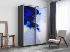 Шкафы-купе, Шкаф-купе Экспресс 1010, 160х60х220