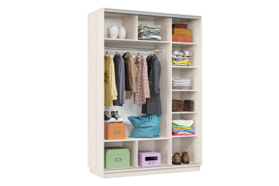 Шкаф-купе Премьер Лайт 10 (05;05) двухдверный