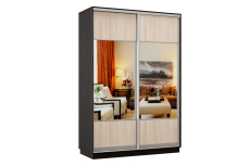 Шкафы-купе, Шкаф-купе Премьер Лайт 01 Мини (05;05) двухдверный