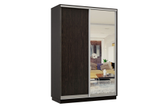 Шкафы-купе, Шкаф-купе Премьер Лайт 02 (02;01) двухдверный